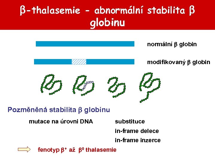  -thalasemie - abnormální stabilita globinu normální globin modifikovaný globin Pozměněná stabilita globinu mutace