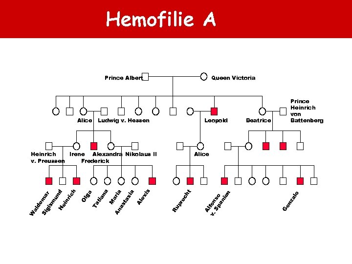 Hemofilie A Prince Albert Ludwig v. Hessen Leopold Beatrice Prince Heinrich von Battenberg Go