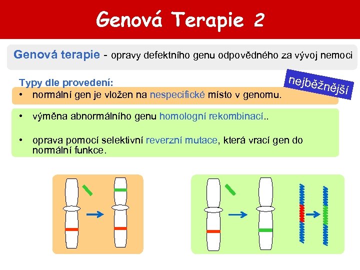Genová Terapie 2 Genová terapie - opravy defektního genu odpovědného za vývoj nemoci nejběž