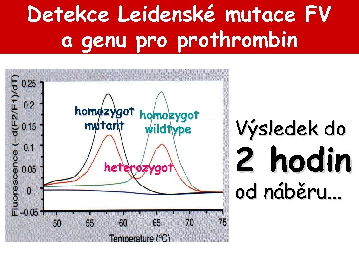 Detekce Leidenské mutace FV a genu prothrombin homozygot mutant wildtype heterozygot Výsledek do 2