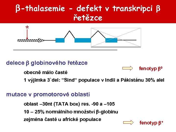 -thalasemie - defekt v transkripci řetězce * delece globinového řetězce obecně málo časté