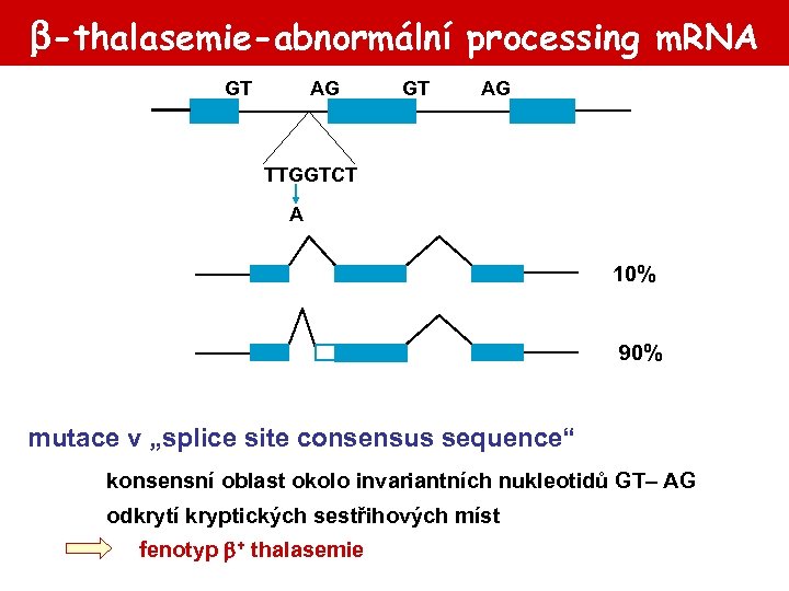  -thalasemie-abnormální processing m. RNA GT AG TTGGTCT A 10% 90% mutace v „splice