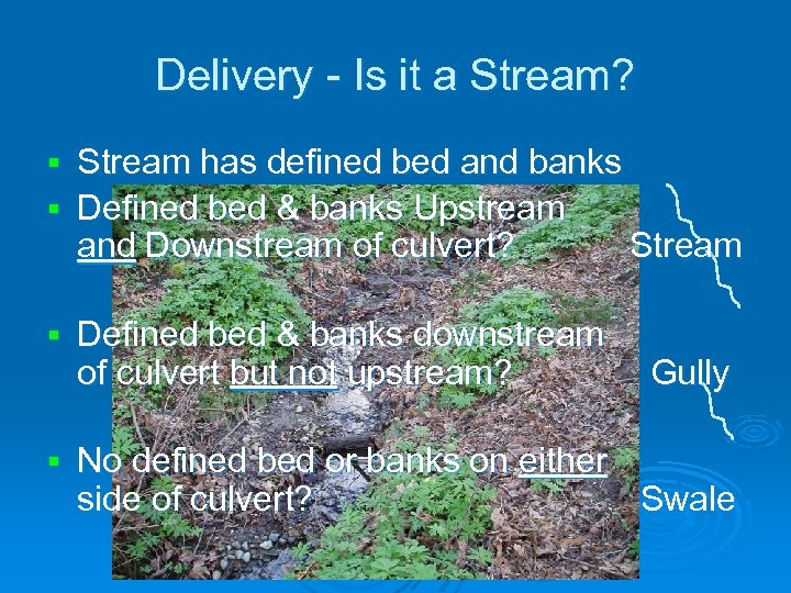 Delivery - Is it a Stream? Stream has defined bed and banks § Defined