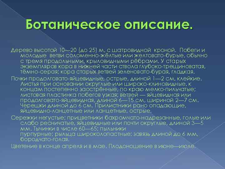 Ботаническое описание. Дерево высотой 10— 20 (до 25) м, с шатровидной кроной. Побеги и