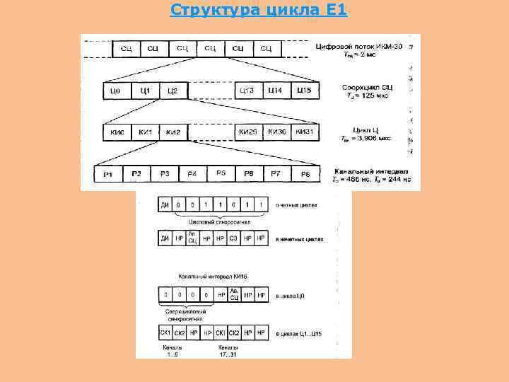Структура цикла Е 1 