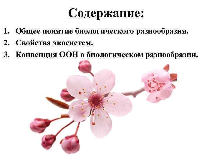 Содержание: 1. Общее понятие биологического разнообразия. 2. Свойства экосистем. 3. Конвенция ООН о биологическом