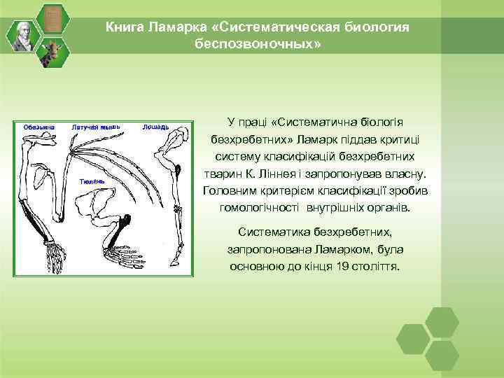 Книга Ламарка «Систематическая биология беспозвоночных» У праці «Систематична біологія безхребетних» Ламарк піддав критиці систему