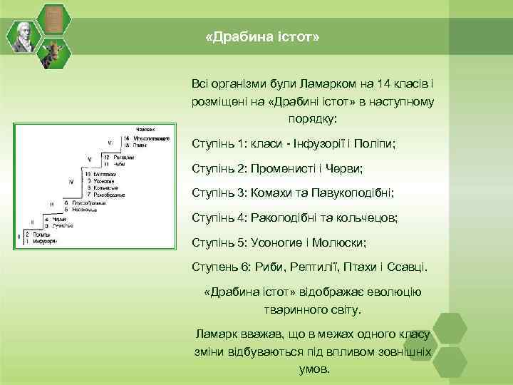  «Драбина істот» Всі організми були Ламарком на 14 класів і розміщені на «Драбині