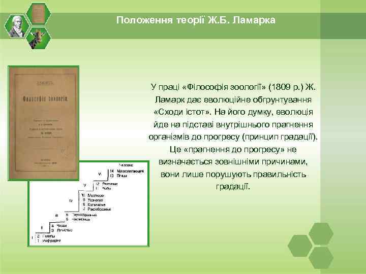 Положення теорії Ж. Б. Ламарка У праці «Філософія зоології» (1809 р. ) Ж. Ламарк