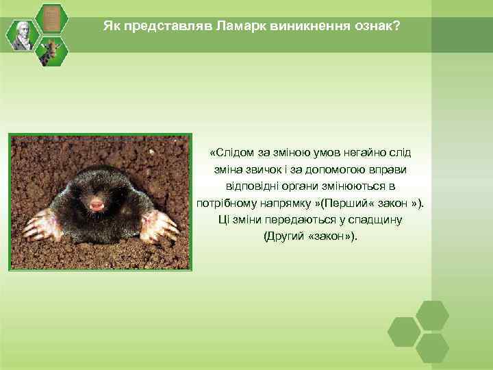 Як представляв Ламарк виникнення ознак? «Слідом за зміною умов негайно слід зміна звичок і