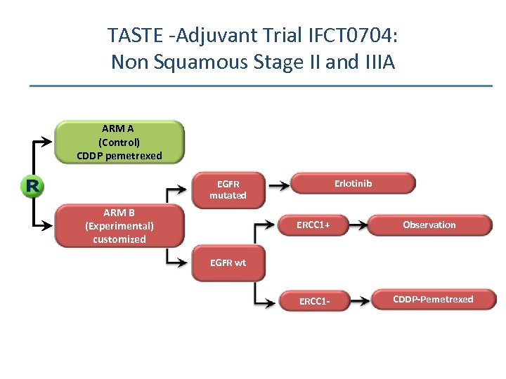 TASTE -Adjuvant Trial IFCT 0704: Non Squamous Stage II and IIIA ARM A (Control)