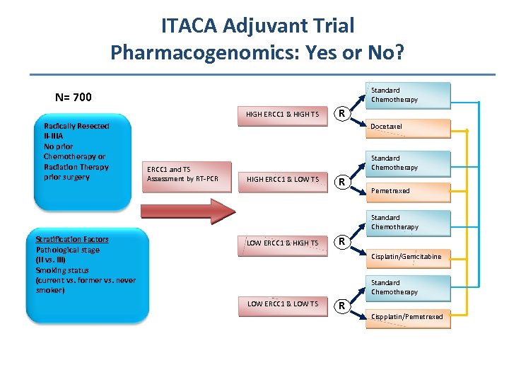 ITACA Adjuvant Trial Pharmacogenomics: Yes or No? Standard Chemotherapy N= 700 HIGH ERCC 1