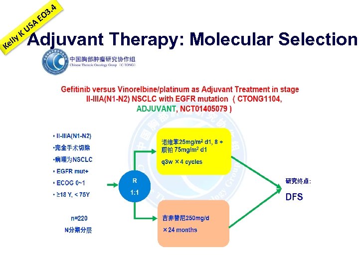 K y ell K A US E 3. 4 O Adjuvant Therapy: Molecular Selection