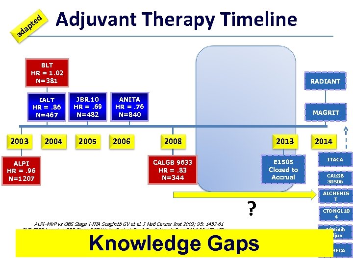d e pt a ad Adjuvant Therapy Timeline BLT HR = 1. 02 N=381