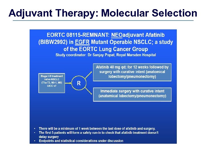 Adjuvant Therapy: Molecular Selection 