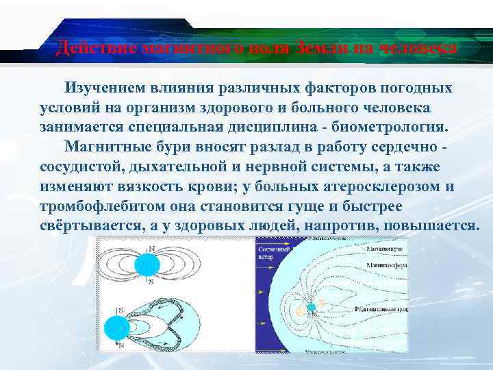 Действие магнитного поля Земли на человека Изучением влияния различных факторов погодных условий на организм