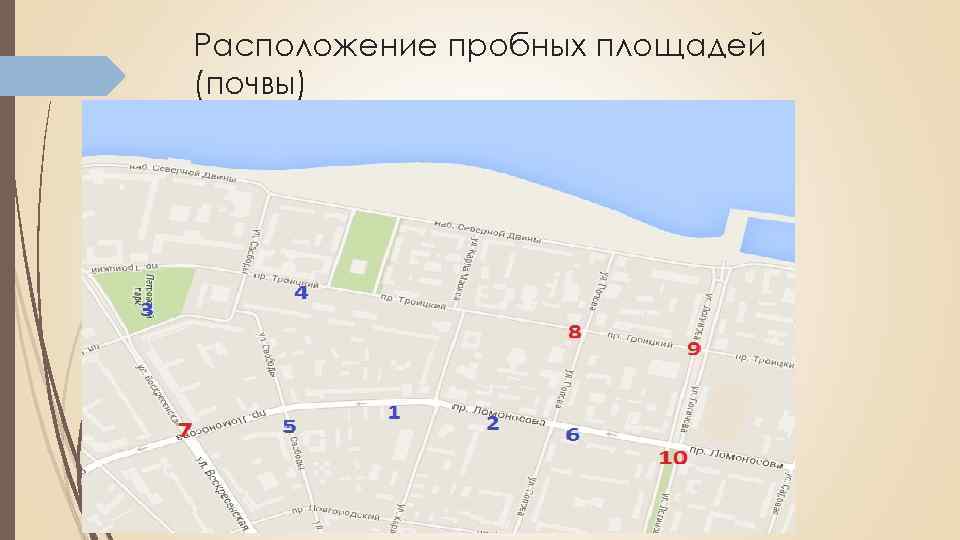 Расположение пробных площадей (почвы) 