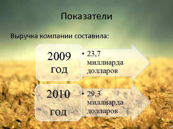 Показатели Выручка компании составила: 2009 год • 23, 7 миллиарда долларов 2010 год •