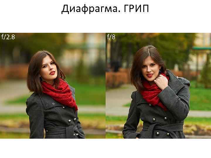 Диафрагма. ГРИП 