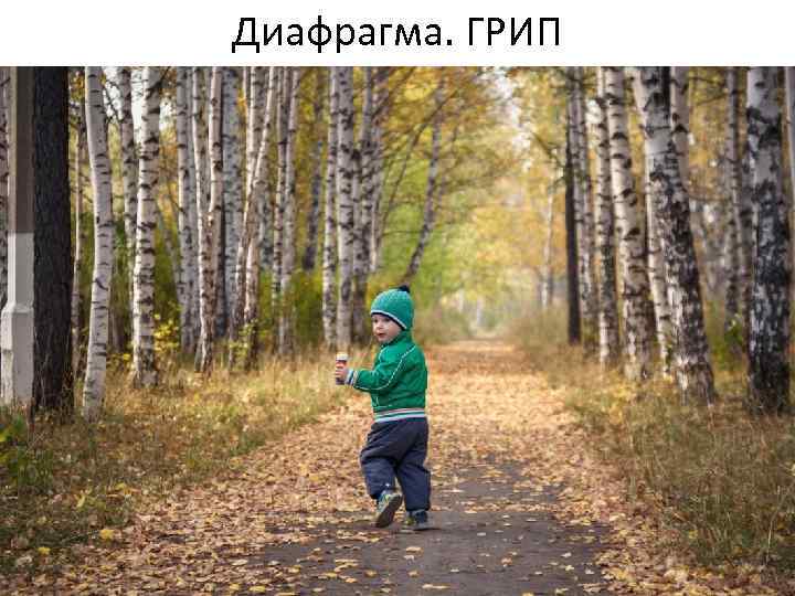 Диафрагма. ГРИП 