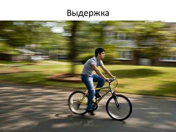 Выдержка 