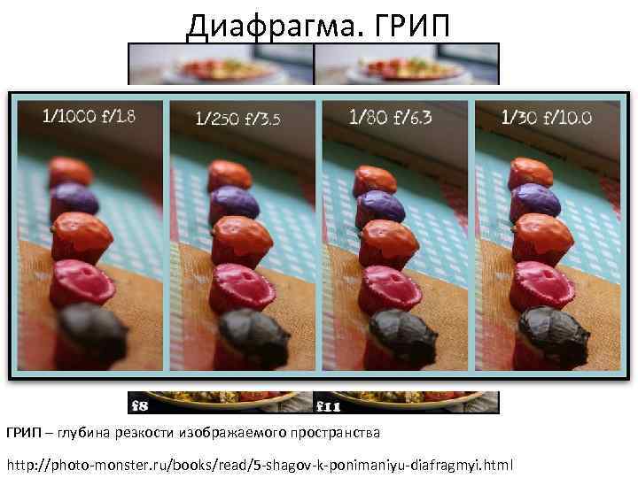 Диафрагма. ГРИП – глубина резкости изображаемого пространства http: //photo-monster. ru/books/read/5 -shagov-k-ponimaniyu-diafragmyi. html 