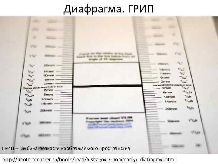 Диафрагма. ГРИП – глубина резкости изображаемого пространства http: //photo-monster. ru/books/read/5 -shagov-k-ponimaniyu-diafragmyi. html 