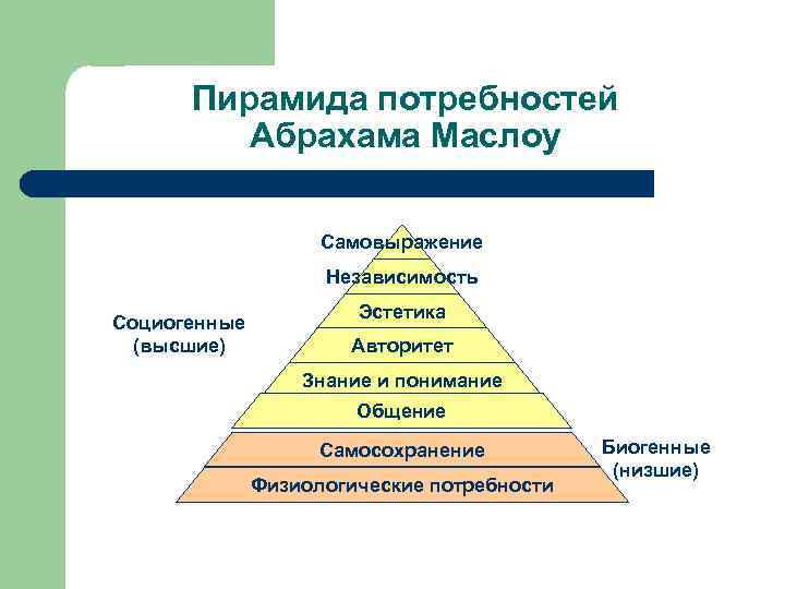 Пирамида потребностей Абрахама Маслоу Самовыражение Независимость Социогенные (высшие) Эстетика Авторитет Знание и понимание Общение