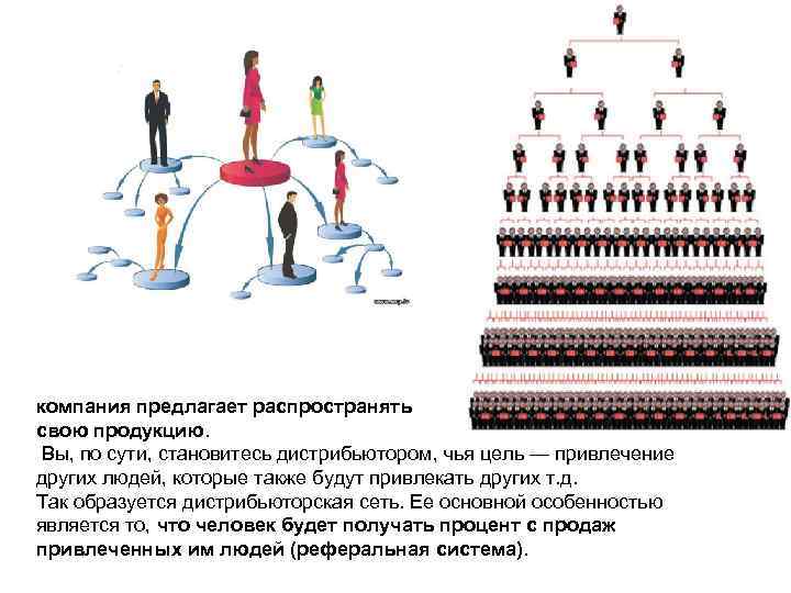 компания предлагает распространять свою продукцию. Вы, по сути, становитесь дистрибьютором, чья цель — привлечение