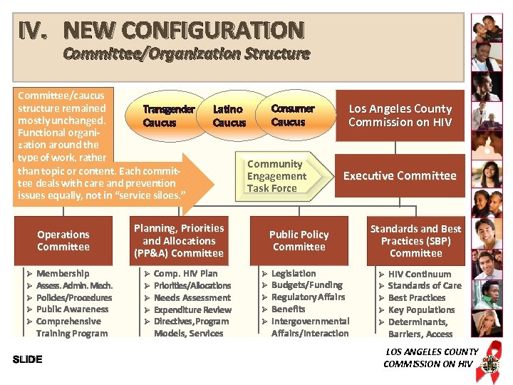 IV. NEW CONFIGURATION Committee/Organization Structure Committee/caucus structure remained Transgender mostly unchanged. Caucus Functional organization