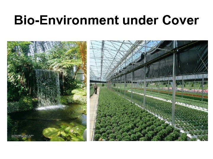 Bio-Environment under Cover 