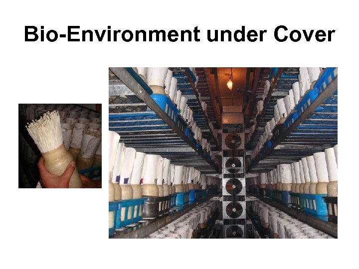 Bio-Environment under Cover 