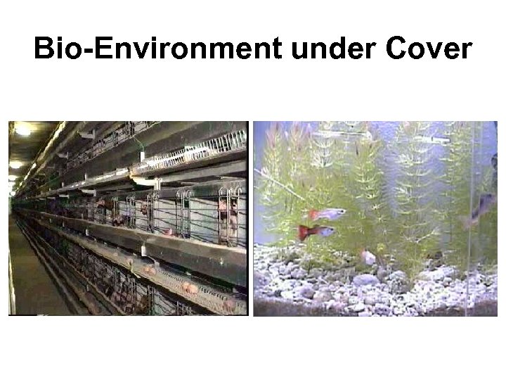 Bio-Environment under Cover 
