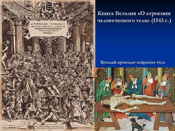 Книга Везалия «О строении человеческого тела» (1543 г. ) Везалий проводит вскрытие тела 