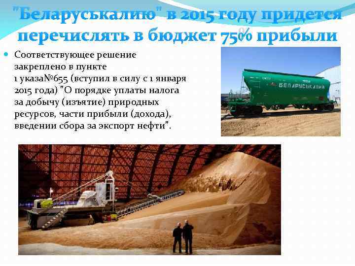 "Беларуськалию" в 2015 году придется перечислять в бюджет 75% прибыли Соответствующее решение закреплено в