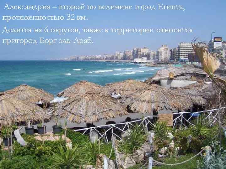 Александрия – второй по величине город Египта, протяженностью 32 км. Делится на 6 округов,