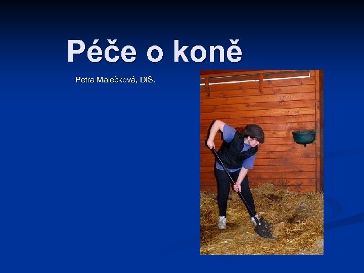 Péče o koně Petra Malečková, Di. S. 