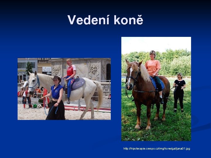 Vedení koně http: //hipoterapie. crespo. cz/img/kone/gal/jana 01. jpg 