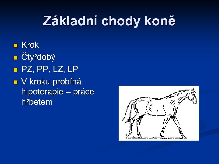 Základní chody koně n n Krok Čtyřdobý PZ, PP, LZ, LP V kroku probíhá