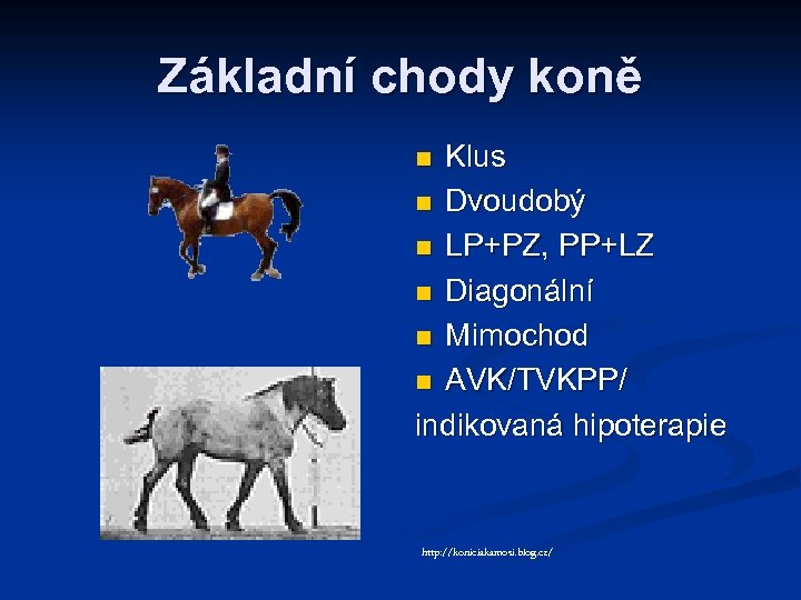Základní chody koně Klus n Dvoudobý n LP+PZ, PP+LZ n Diagonální n Mimochod n