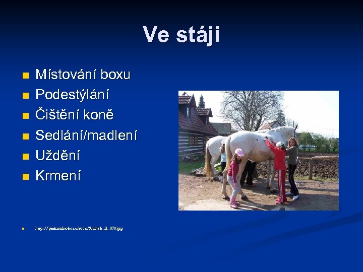 Ve stáji n Místování boxu Podestýlání Čištění koně Sedlání/madlení Uždění Krmení n http: //jizdarnalitobor.