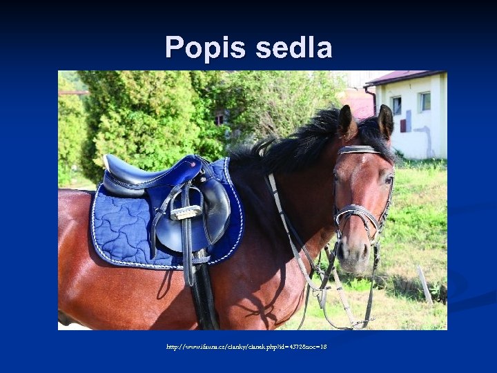 Popis sedla http: //www. ifauna. cz/clanky/clanek. php? id=4372&roc=18 