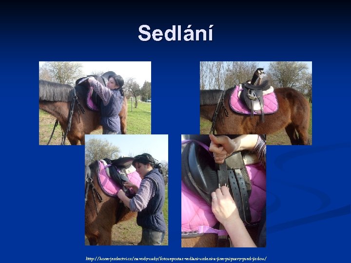 Sedlání http: //kone-jezdectvi. cz/navody-rady/fotoreportaz-sedlani-uzdeni-a-jine-pripravy-pred-jizdou/ 