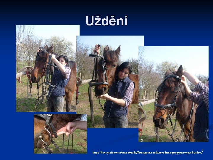 Uždění / http: //kone-jezdectvi. cz/navody-rady/fotoreportaz-sedlani-uzdeni-a-jine-pripravy-pred-jizdou 