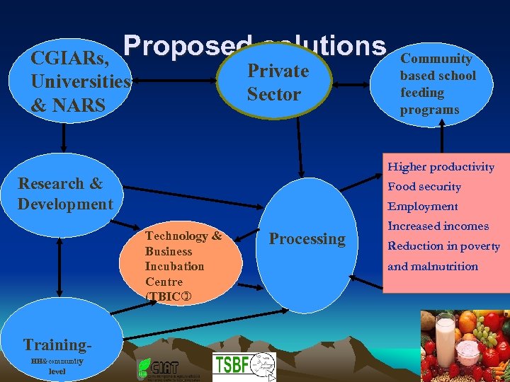 CGIARs, Proposed solutions Private Universities Sector & NARS Higher productivity Research & Development Food