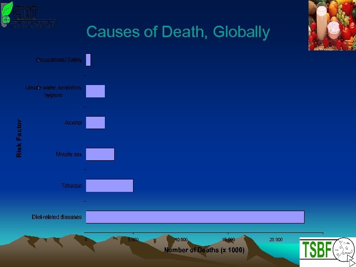 Causes of Death, Globally 