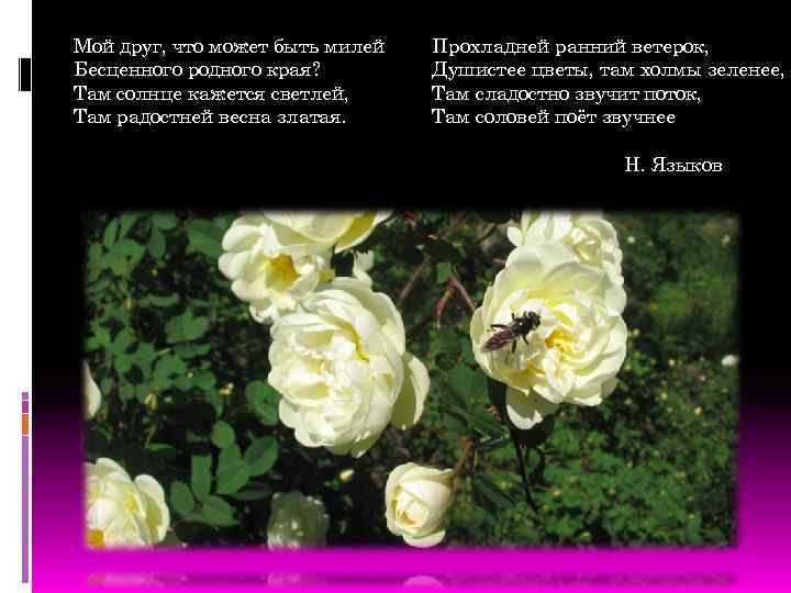 Мой друг, что может быть милей Бесценного родного края? Там солнце кажется светлей, Там