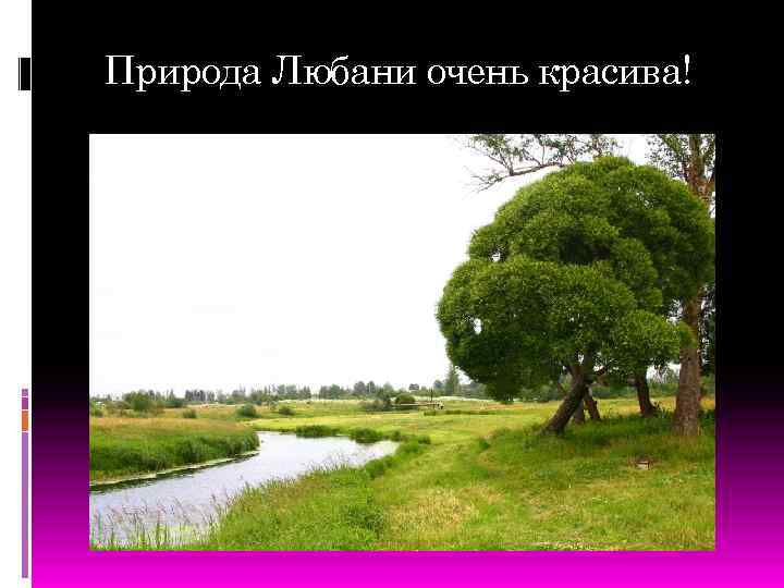 Природа Любани очень красива! 