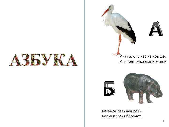 А Аист жил у нас на крыше, А в подполье жили мыши. Б Бегемот