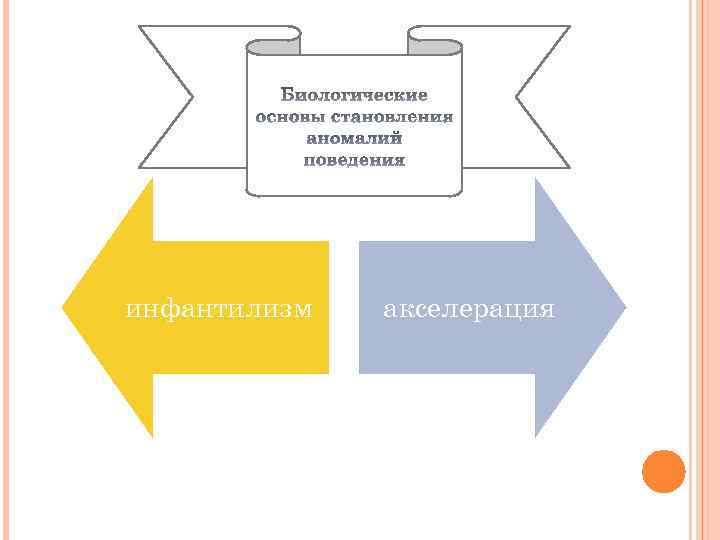 инфантилизм акселерация 